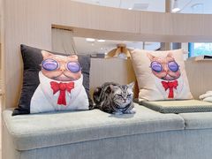 -CAT’S MEWSTAR CAFE·喵星球猫屋(晴湾咖啡店)
