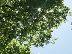-上海第二工业大学(金海路校区)