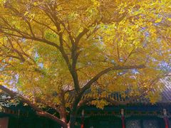 -张学良旧居陈列馆