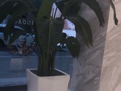 -上海枇杷烤鸭(燕丰商场店)