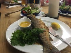 -NORDSEE Frankfurt Fisch Franke