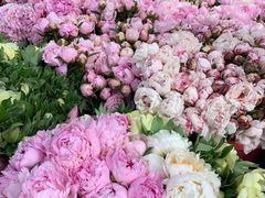 -循礼门鲜花花市(武汉循礼门店)