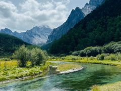 -稻城亚丁景区-冲古草甸