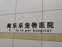 -凯瑞希宠物医院·狂犬免疫·微创·皮肤科