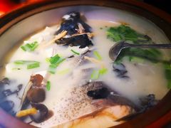 姜君千岛湖鱼头-姜君·千岛湖鱼头馆(浦东大道店)