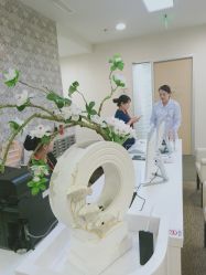 -北京明德医院·医疗美容