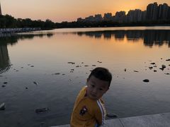 -南翔镇银翔湖公园