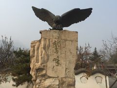 -北京鹫峰国家森林公园