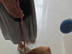 -乐琪宠物医院·犬猫专科·骨外科·急重症