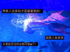 -石家庄极地海洋世界