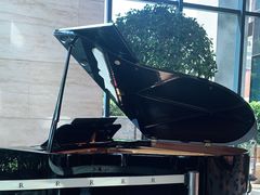 -上海龙之梦万丽酒店