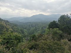 -中国科学院西双版纳热带植物园