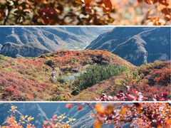 -周口店坡峰岭风景区