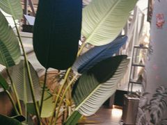 -湊湊火锅·茶憩(皇姑万象汇店)