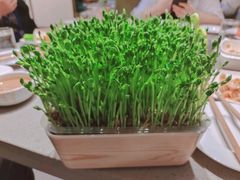 -海底捞火锅(莘松路店)