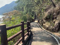 -羚羊峡古栈道森林公园