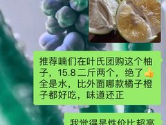 -叶氏兄弟(大连奥特莱斯店)