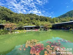 -云溪植物园