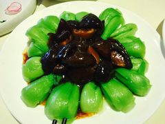 -圆苑(上海广场店)
