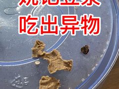 -阊门姚记豆浆(旧学前直营店)