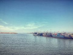 -SUN炸鸡专门店(西塔总店)