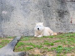 -杭州野生动物世界