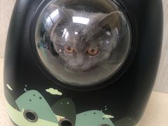 -爱派特动物医院·全科诊疗中心
