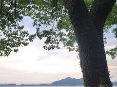 -东钱湖小普陀景区