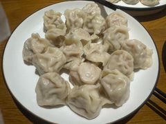 大葱鲜肉水饺-伊喜饺子·烤鸭(五道口学院路店)