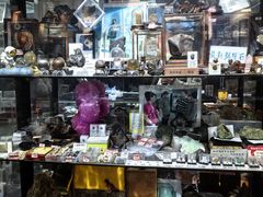 -志强陨石馆(双季花艺店)