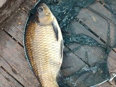 -酷鱼垂钓CLUB(朝阳区博大路店 )