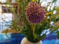 -咖星人E·T coffee·云赛空间