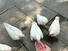 -天津妈祖文化园