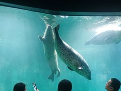 -青岛海底世界-水族馆