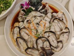 -刘胖子家常菜·蹄花焖藕(兴业店)