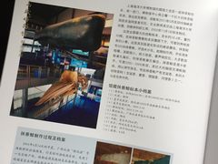 -上海海洋大学鱼文化博物馆(军工路校区)