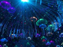 -深圳独角兽星空艺术馆
