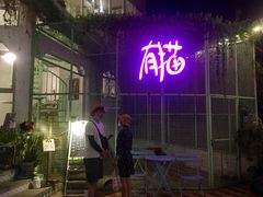 -有猫主题·治愈系猫咖(曾厝垵店)