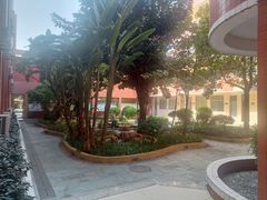 -广州市越秀区育才实验学校