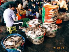 -中国舟山国际水产城