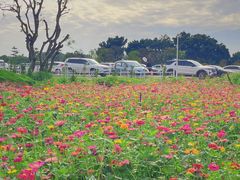 -长洲岛都市农业公园