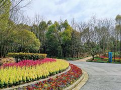 -上海吴淞炮台湾国家湿地公园