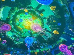 -海合安成都极地海洋公园