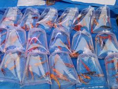 -华声天桥民俗文化园