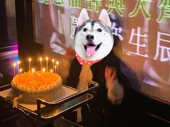 -文华会KTV(体育中心店)