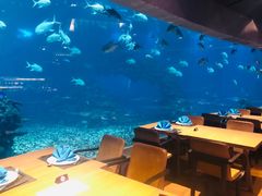 -海棠湾洲际-涛·海底餐厅·美人鱼·自助餐·海底隧道