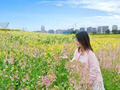 -三圣花乡旅游区