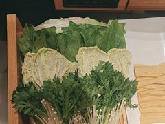 -蝎王府羊蝎子(西直门店)