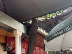 -张醪糟