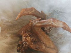 -侠成水上农庄(工业大道店)